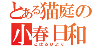 とある猫庭の小春日和（こはるびより）