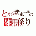 とある紫電一閃の雑用係り（メガネダイジ）