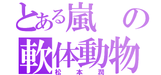 とある嵐の軟体動物（松本潤）