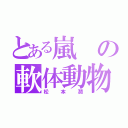 とある嵐の軟体動物（松本潤）