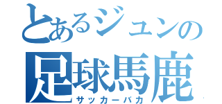 とあるジュンの足球馬鹿（サッカーバカ）