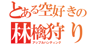 とある空好きの林檎狩り（アップルハンティング）