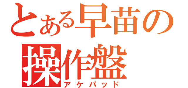 とある早苗の操作盤（アケパッド）