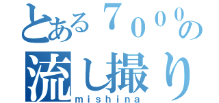 とある７００００推しの流し撮り王（ｍｉｓｈｉｎａ）