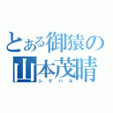 とある御猿の山本茂晴（シゲハル）