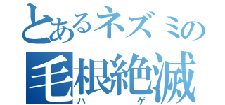 とあるネズミの毛根絶滅（ハゲ）