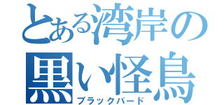 とある湾岸の黒い怪鳥（ブラックバード）