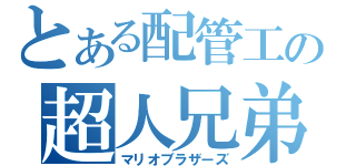 とある配管工の超人兄弟（マリオブラザーズ）