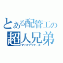 とある配管工の超人兄弟（マリオブラザーズ）