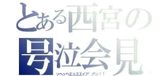 とある西宮の号泣会見（ッヘッヘエェエエイア゛アン！！）