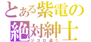 とある紫電の絶対紳士（ジゴロ違う）