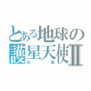 とある地球の護星天使Ⅱ（天使）