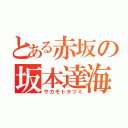 とある赤坂の坂本達海（サカモトタツミ）