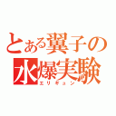 とある翼子の水爆実験（エリギュン）