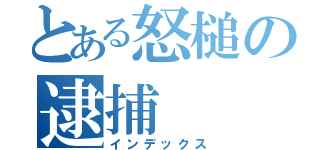 とある怒槌の逮捕（インデックス）