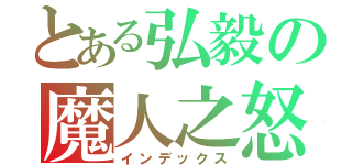 とある弘毅の魔人之怒（インデックス）