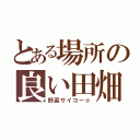 とある場所の良い田畑（野菜サイコー☆）