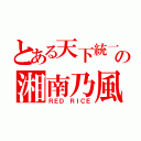 とある天下統一の湘南乃風（ＲＥＤ ＲＩＣＥ）