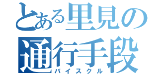 とある里見の通行手段（バイスクル）