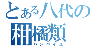 とある八代の柑橘類（バンペイユ）