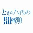 とある八代の柑橘類（バンペイユ）