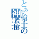 とある槍士の神殺槍（１３㎞や）