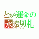 とある運命の永遠切札（ダブル・ジョーカー）