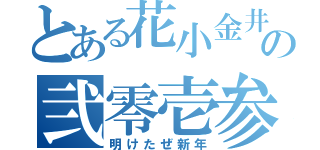 とある花小金井の弐零壱参（明けたぜ新年）