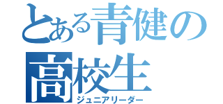 とある青健の高校生（ジュニアリーダー）