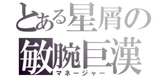 とある星屑の敏腕巨漢（マネージャー）