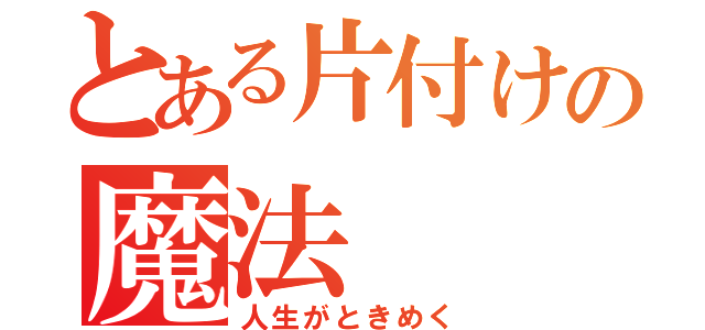 とある片付けの魔法（人生がときめく）