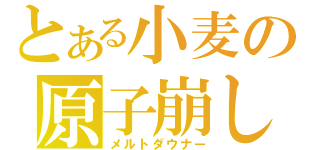 とある小麦の原子崩し（メルトダウナー）