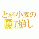 とある小麦の原子崩し（メルトダウナー）