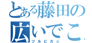 とある藤田の広いでこ（ツルピカ☆）