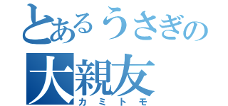 とあるうさぎの大親友（カミトモ）