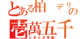 とある柏　デリの壱萬五千円割引（どきどき学園）