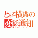 とある横溝の変態通知（セクハライン）