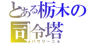 とある栃木の司令塔（パウリーニョ）