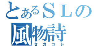 とあるＳＬの風物詩（セカコレ）