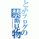 とあるブログの禁断見物（ヒミツテダイアリー）