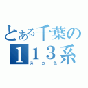 とある千葉の１１３系（スカ色）