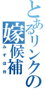 とあるリンクの嫁候補（みずほ台）