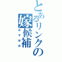 とあるリンクの嫁候補（みずほ台）