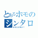 とあるホモのシンタロー（ホモだが何か？）