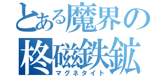 とある魔界の柊磁鉄鉱（マグネタイト）