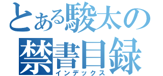 とある駿太の禁書目録（インデックス）