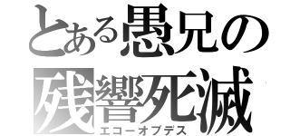 とある愚兄の残響死滅（エコーオブデス）