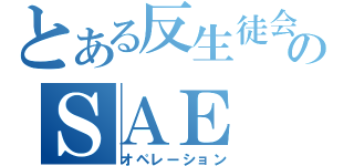 とある反生徒会のＳＡＥ（オペレーション）