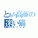 とある高藤の迷い猫（森下未散）