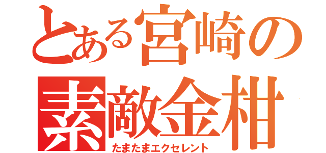 とある宮崎の素敵金柑（たまたまエクセレント）